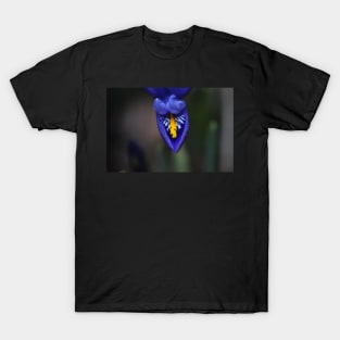 Iris in blue T-Shirt